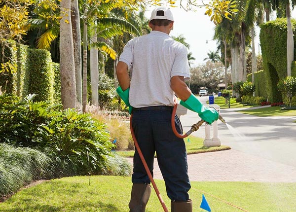 About Wyano PA Pest Control